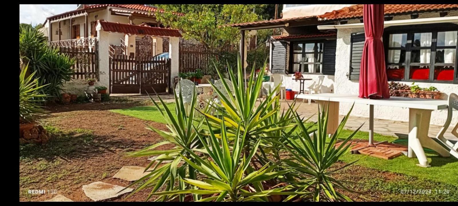 Phedra'S House Spata- Artemida Esterno foto